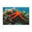 Wall Art on Canvas-1960035427