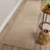 Dionne Wool Indoor Rug