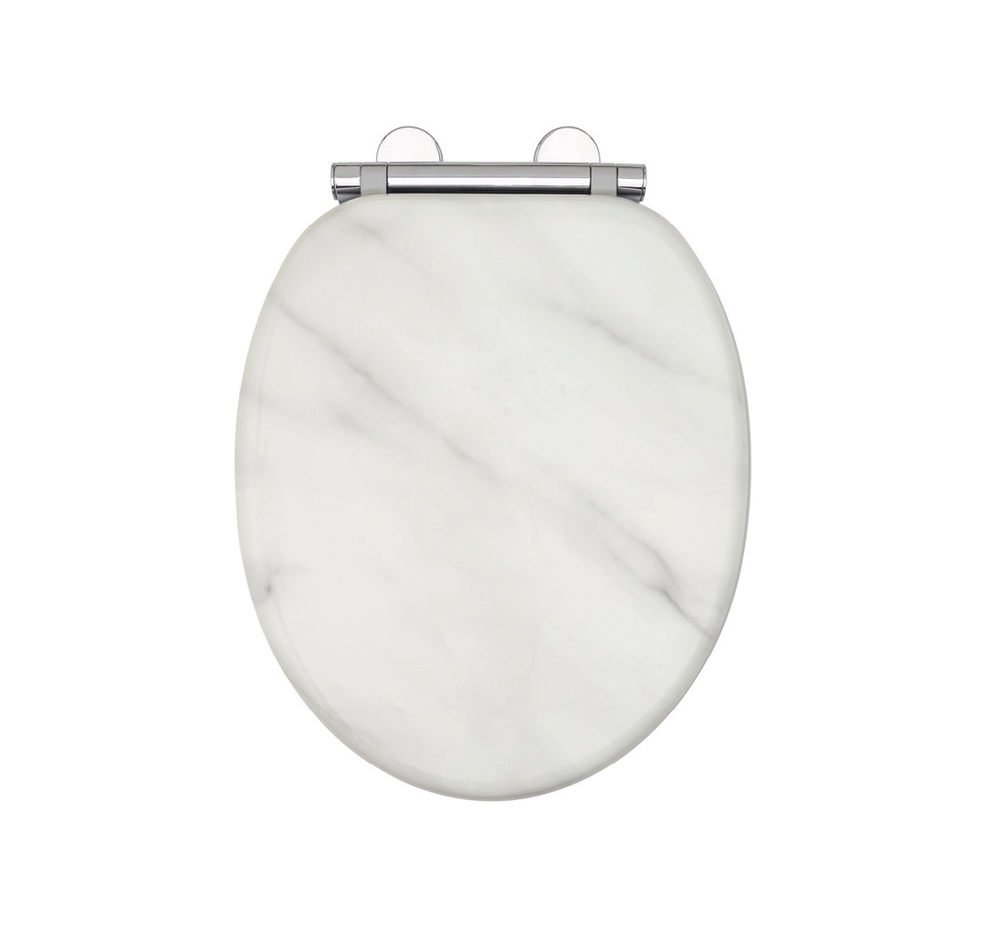 Oval Hard Toilet Seat