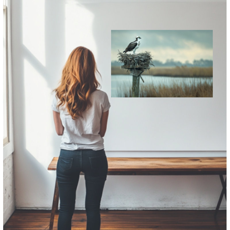 Osprey Nesting Canvas Print, 16" H x 20" W