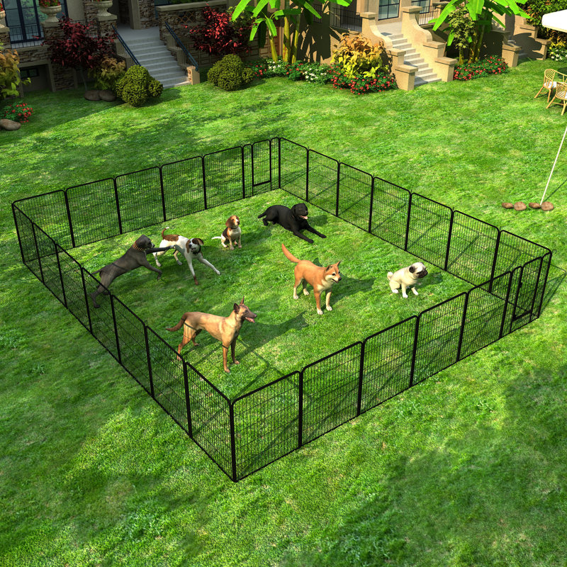 31.7'' H Panel Metal Exercise Pen With Door