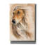«Afgan Hound» par Barbara Keith - reproduction d'art sur toile tendue