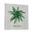 " Aloe Vera I "-1749354687