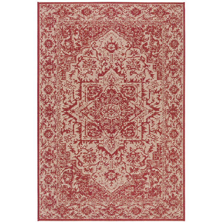 Donivin 100 Performance Oriental Indoor/Outdoor Area Rug