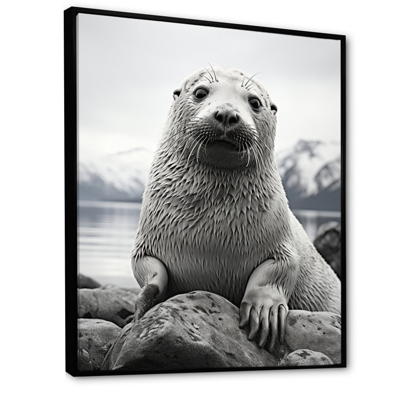 Lamarc, sceau de l'Arctique de l'Alaska - impression, H 32 po x l 24 po x P 1 po, Cadre flottant noir