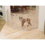Enclos pour chien convertible