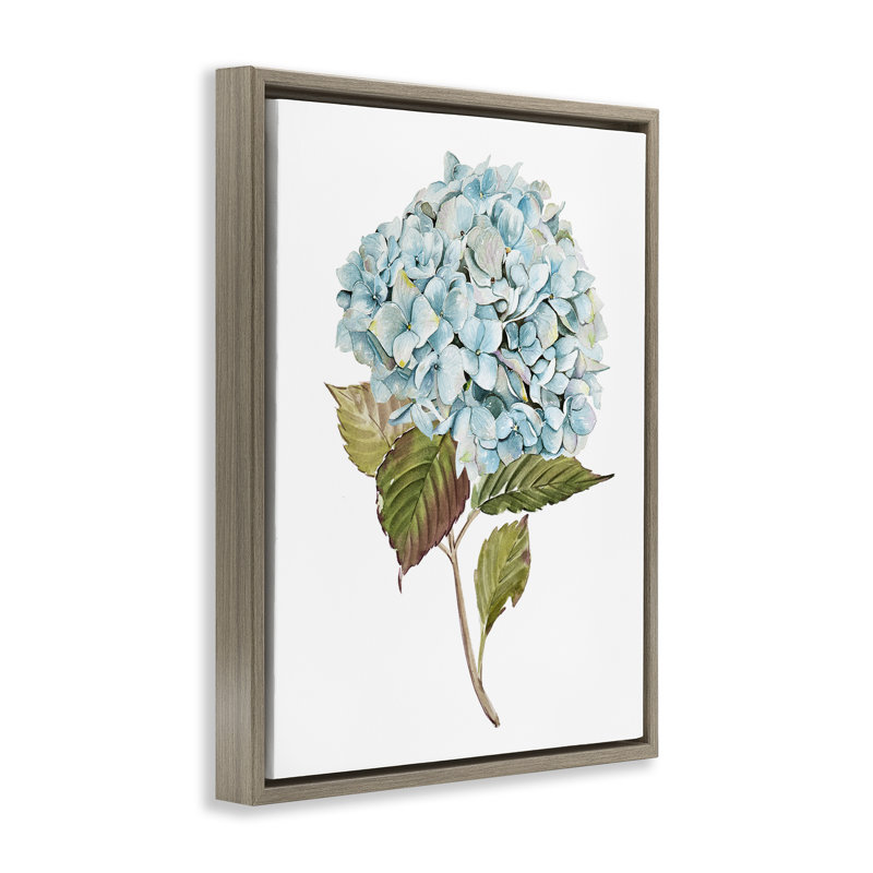 «Simple Hydrangea Bud» par Enya Todd, Cadre flottant orme Montalcino, H 31 po x l 25 po