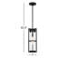 Luminaire suspendu d'extérieur 1 lumière H 18 po Asheboro Mellon-906123080