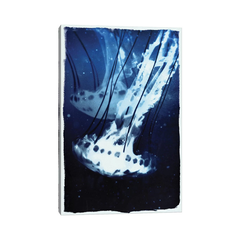 Indigo Jellyfish by 33 Broken Bones - Wrapped Canvas Gallery-Wrapped Canvas Giclée, 66.04 cm H x 45.72 cm W x 3.175 cm D