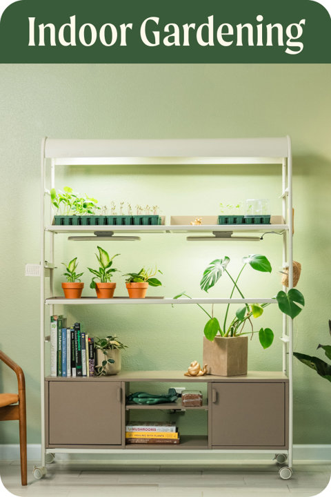 Shop the Indoor Gardening series