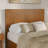 Darlean Solid Wood Trundle Platform Bed with Footboard & Roll Out Trundle-119533553-119533552