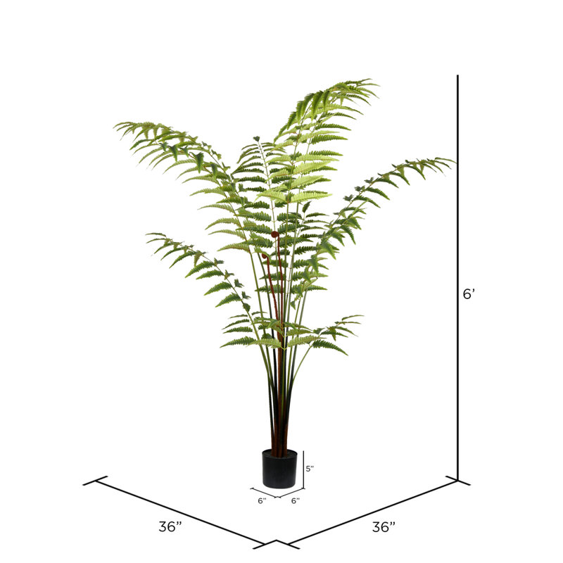 Fougère artificielle en cuir, H 72 po x l 36 po x P 36 po