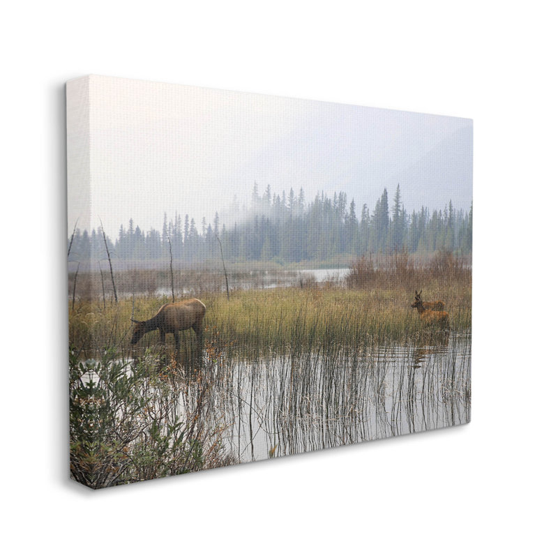 «Animals Grazing Creek», art de la giclée par Carol Robinson, H 16 po x l 20 po x P 1,5 po, Estampe numérique Farmhouse