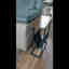 Customer photo 4 of 5