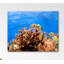 Stretched On Wooden Frame Print on Canvas-453640194