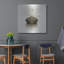 «Time Out 1» par Carlos Casamayor-987956085