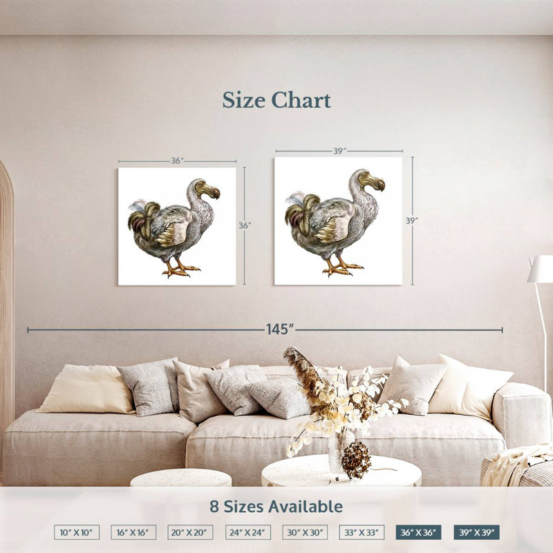 Brampt Dodo, 39" H x 39" W