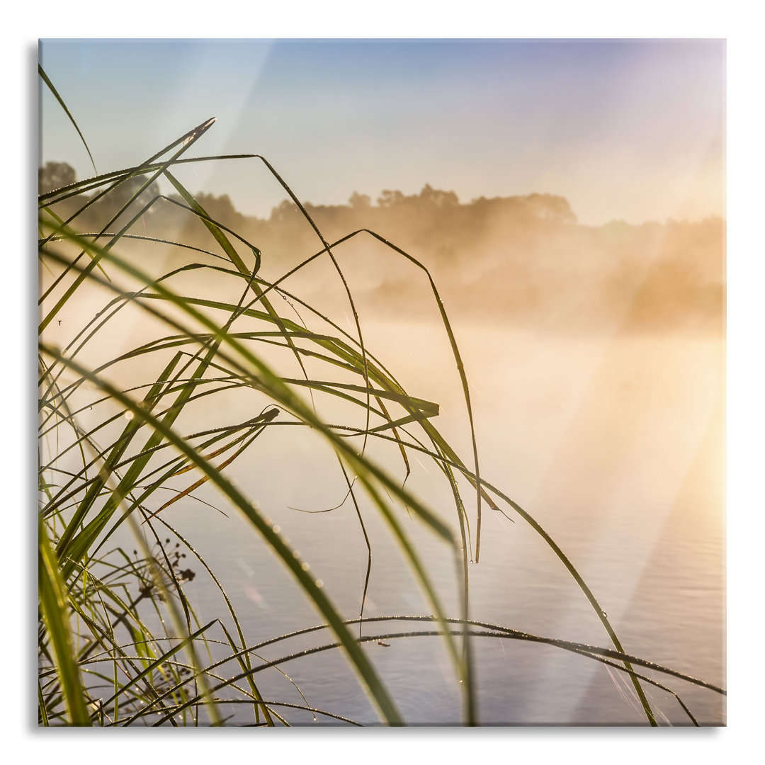 Ungerahmtes Foto auf Glas "Schilf am See"