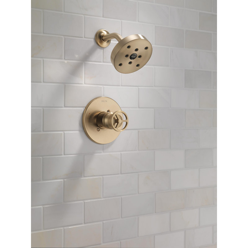 Ensemble de robinet de douche avec poignée sur roulettes Trinsic 14 Series H2Okinetic, Bronze champagne