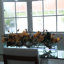 Arrangement floral et centre de table en verre Magnolia-451837030-472820215