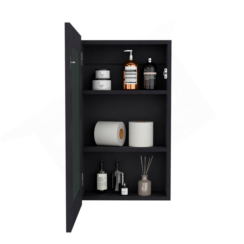 Medicine Cabinet Sanford, Bathroom, Black, Black