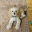 Tapis sable et ivoire Maril Haden-556484856