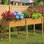 Lit de jardin surélevé toutes saisons avec pattes et trous de drainage - jardinière pour jardin d'extérieur 72 x 30 x 24 po - Jardiniers pour fleurs de légumes (teck)