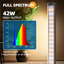 Naomi Grow Light