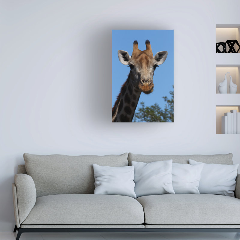 Art sur toile, bolognaise, Bob Langrish, H 19 po x l 12 po