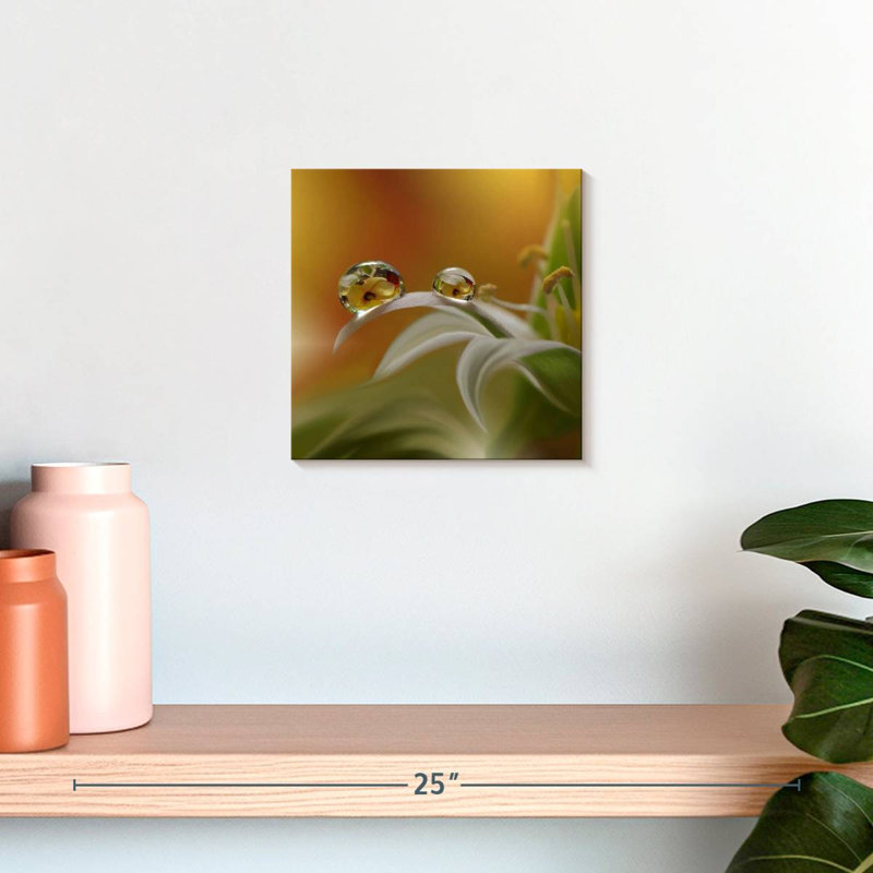 Alvord Flower Mist, 10" H x 10" W