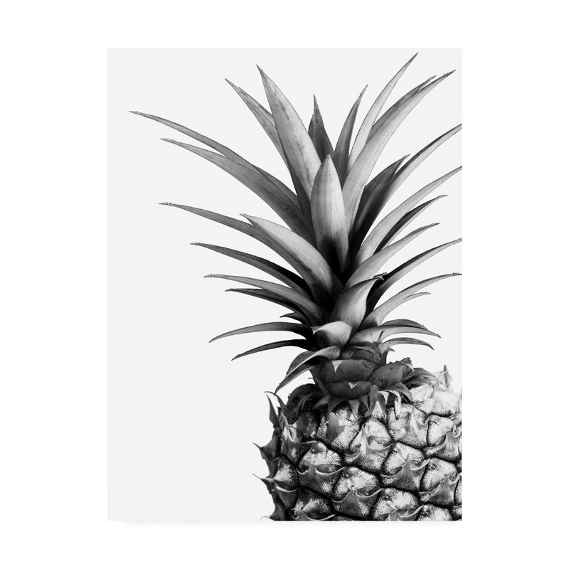 Reproduction d’art sur toile tendue « Pineapple (BW) » par Lexie Greer, H 24 po x l 18 po x P 2 po