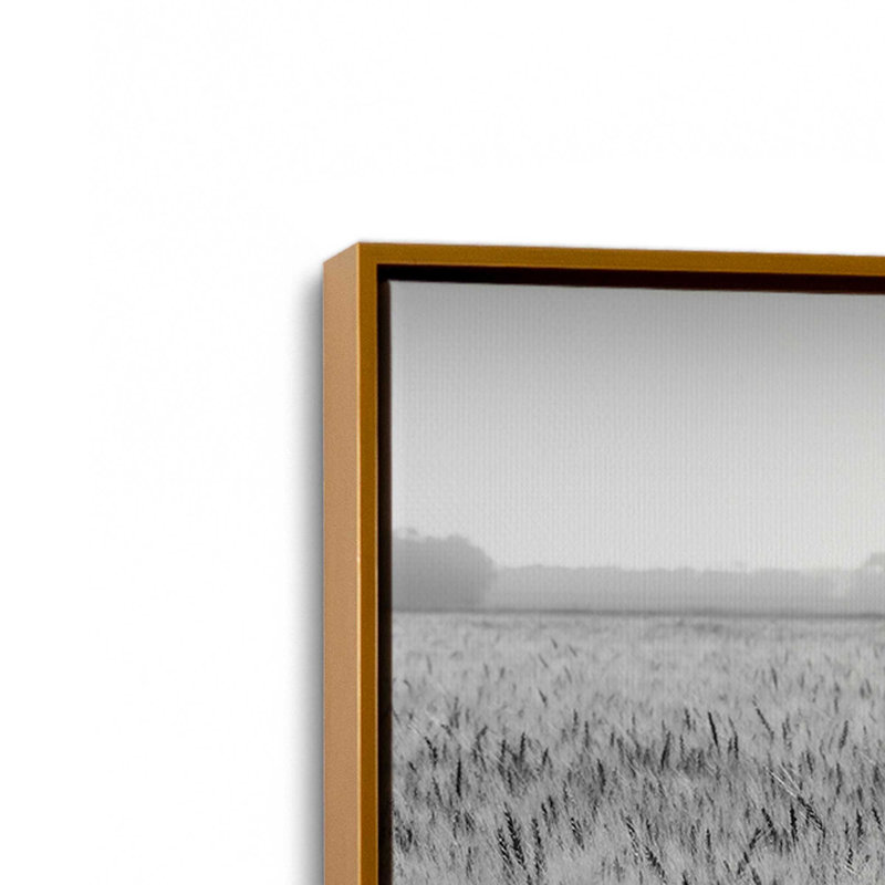 «Wheat in Summer BW» par Nathan Larson, reproduction d'art, 30 W x 20 H, Gold, Framed Canvas