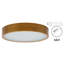 Axsel Flush Mount-271949617