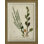 Botanical Print