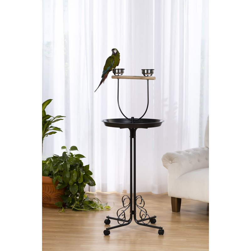 Table de jeu Harwell Pet Products, H 56 po x l 24,625 po x P 24,625 po