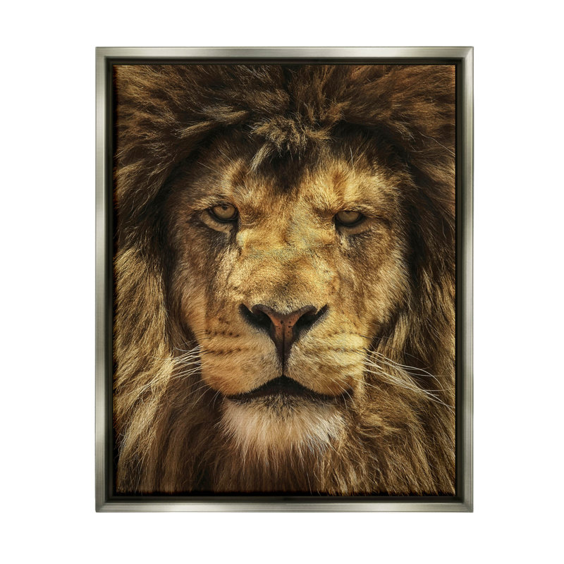 Gros plan sur un lion, estampe numérique de Carrie Ann Grippo-Pike, H 31 po x l 25 po x P 1,7 po, Cadre flottant gris lustré