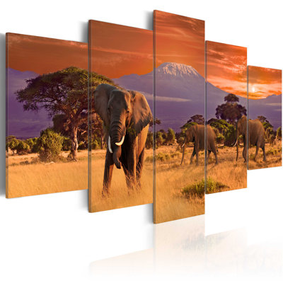 " Africa Elephants " 5 - Pieces