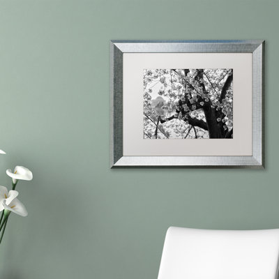 Caliel " Blossoms BW " by CATeyes