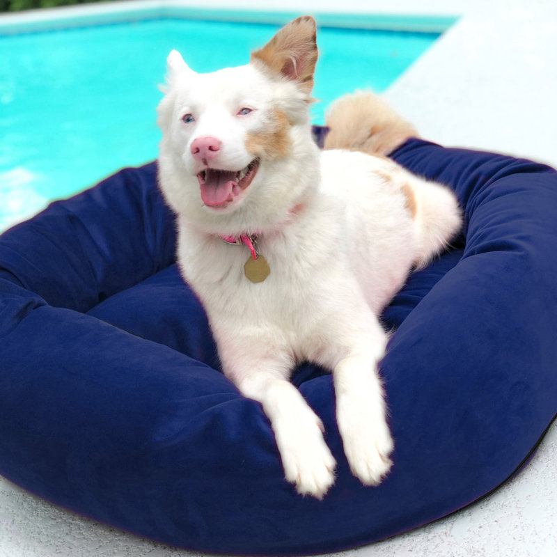 Lit pour chien de luxe en velours, mousse à mémoire de forme lavable semblable au nuage, Moyen (l 37 po x P 37 po x H 10 po)