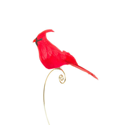 Ensemble d'ornement cardinal à plumes rouge