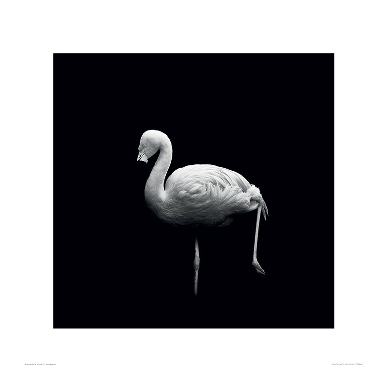 Marina Cano - No Frame Print, 60cm H x 60cm W