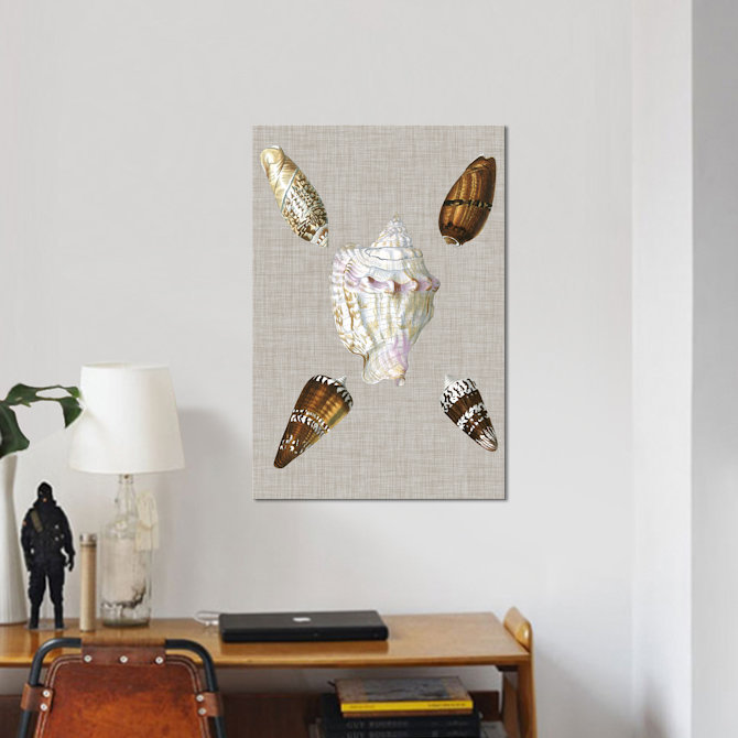 « shells on linen ii », reproduction d’impression sur toile tendue, H 40 po x l 26 po x P 1,5 po, Toile tendue, Pas de tapis