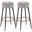 Tiana Upholstered Counter Stool with Metal Frame-430277097