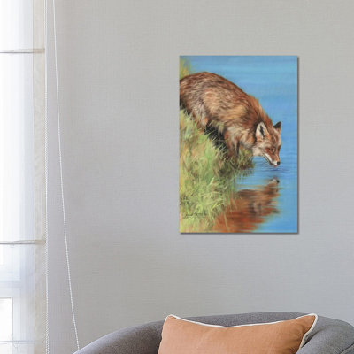Fox Drinking At River by David Stribbling - Wrapped Canvas Gallery-Wrapped Canvas Giclée