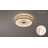 19.6'' Ceiling Fan with Light Kit and Remote Control Included-88308908-98089885