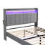 Dajai Upholstered Bed-846313267