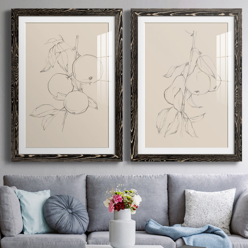 Fruit Contour Study I Premium encadré mat - prêt à être suspendu, Noir, H 37,5 po x l 55 po x P 1,5 po