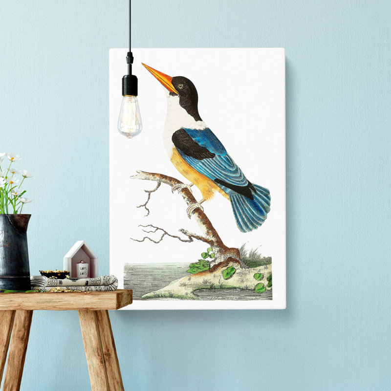 Blue Kingfisher by George Shaw - Wrapped Canvas, 60cm H x 40cm W x 3cm D