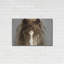 «Ghost Horse» par Lisa Dearing, Meta «Ghost Horse» par Lisa Dearing-886224122