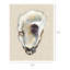 Oyster Shell Study III, estampe numérique sur toile tendue